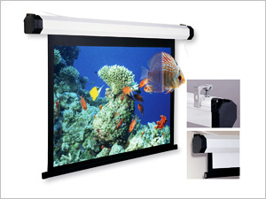 Projection Screens Collection